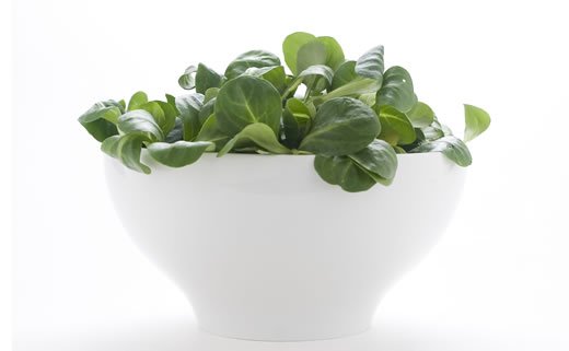 Salata od špinata, fete i kruške