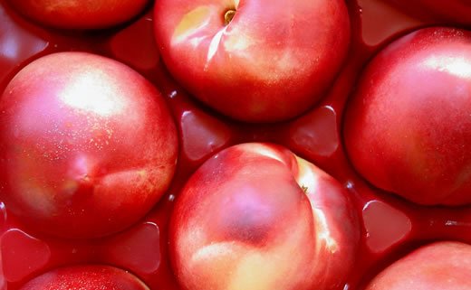 Nektarine s pikantnom ricottom