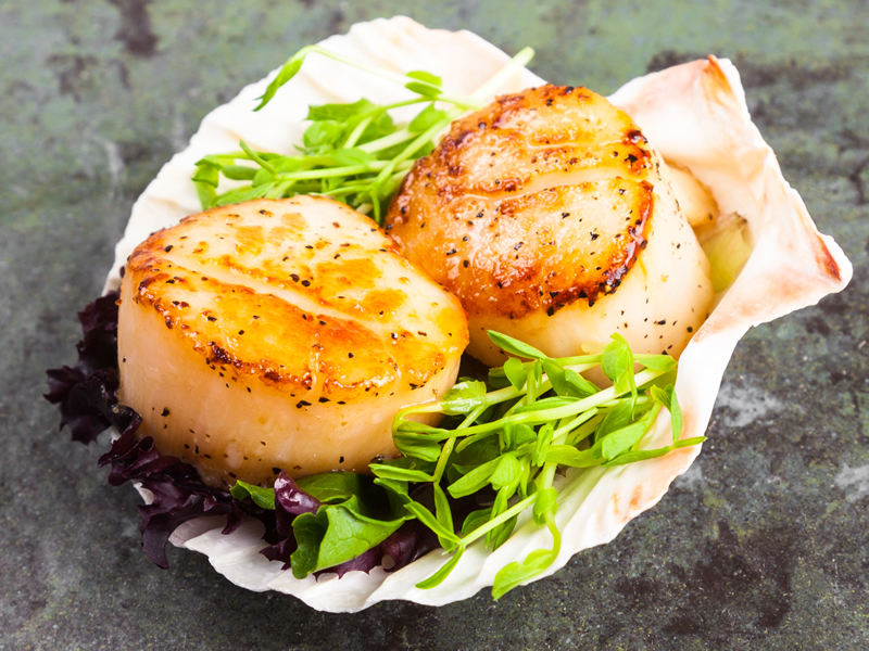 Jakobove kapice s maslinovim uljem i češnjakom